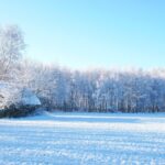Silvestr pro děti 30. 12. aneb Maruška a dvanáct měsíčků