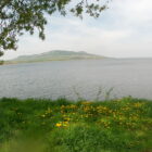 008aNovomlynske nadrze