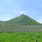 019Novomlynske nadrze