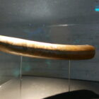 019cNovomlynske nadrze