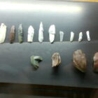 019fNovomlynske nadrze