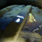 019gNovomlynske nadrze