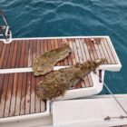 20250902_030_Chorvatsko_jachta