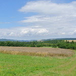 160729_Zamecka cesta17