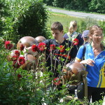 160729_Zamecka cesta30