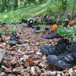 160729_Zamecka cesta39