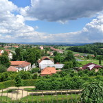 160729_Zamecka cesta49