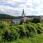 160729_Zamecka cesta66