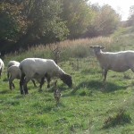 20141018 JMB Rozhledny 183