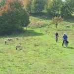 20141018 JMB Rozhledny 188