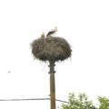 170702_Tábor_019