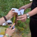 170702_Tábor_042