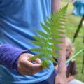 170702_Tábor_050
