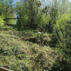 Jevisovice40