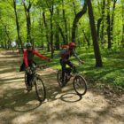 Jevisovice54b
